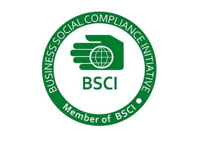 BSCI验厂的特点以及通关技巧