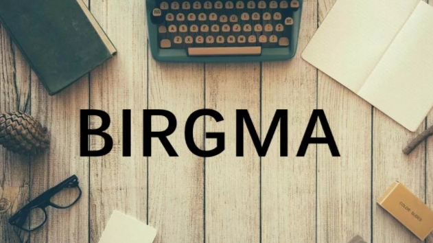BIRGMA验厂