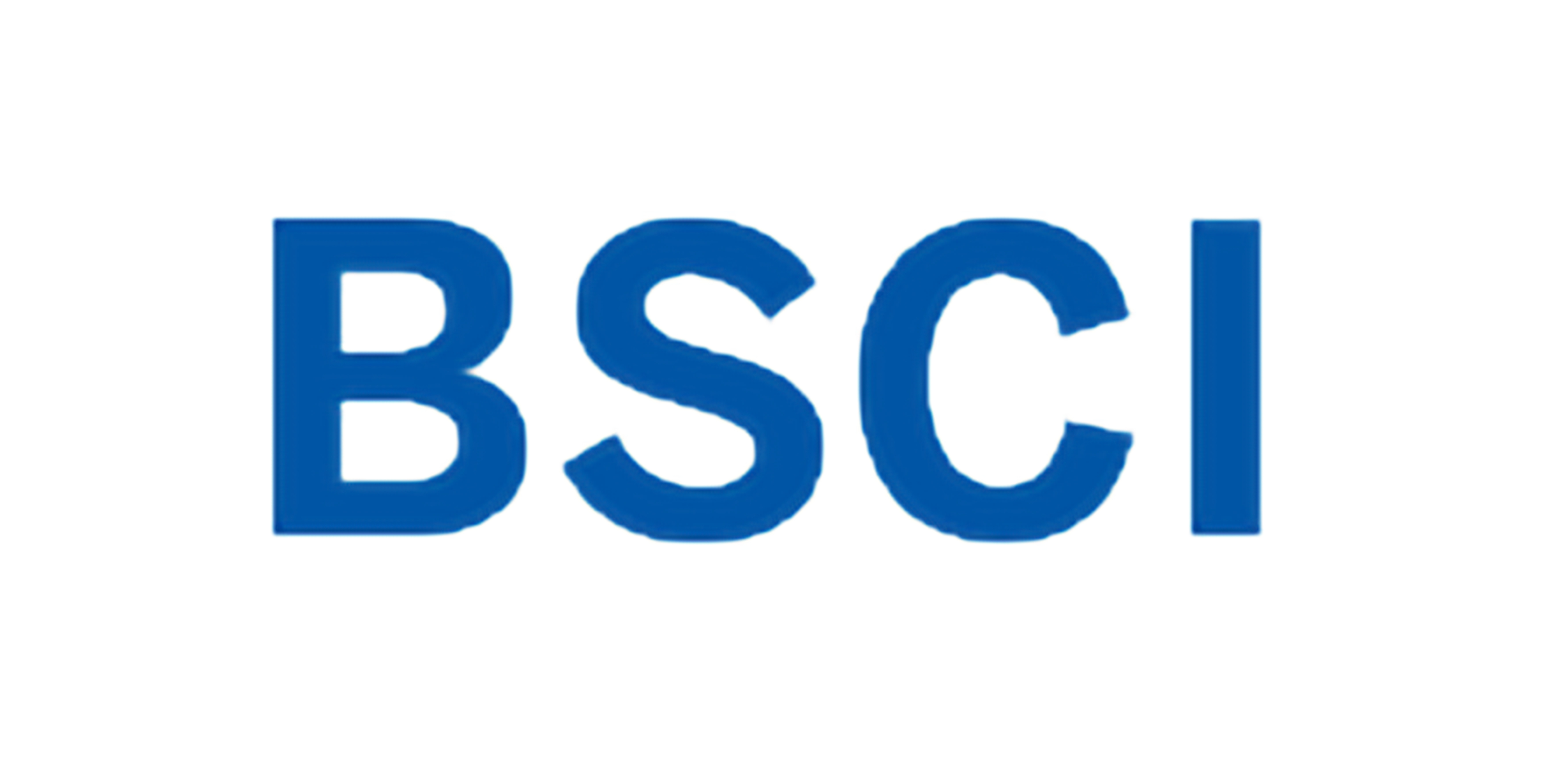 BSCI验厂